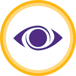 Insight Icon of an eye within a circle.