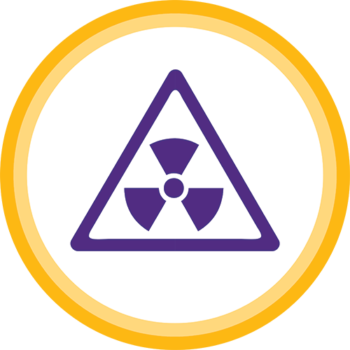 Safety Icon: a radiation symbol in a triangle