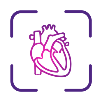 Cardiac_PET_icon_set_v2_pet_heart_pos